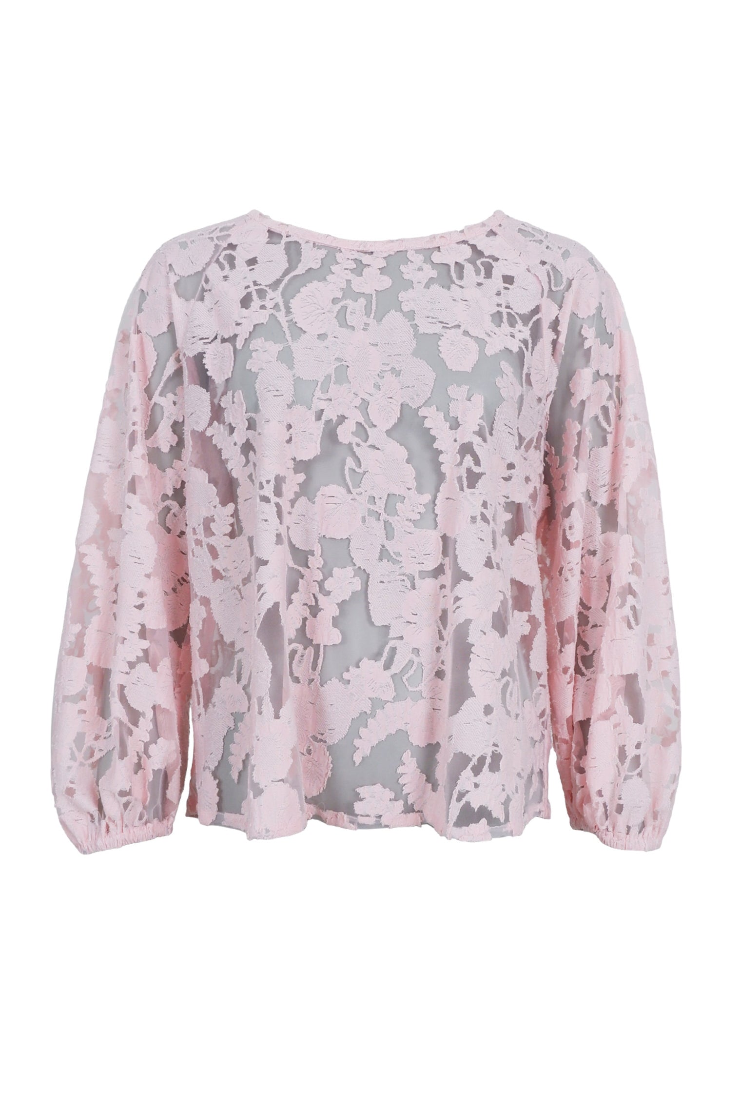 BCDREAM Spitzenbluse - Lt. Rose