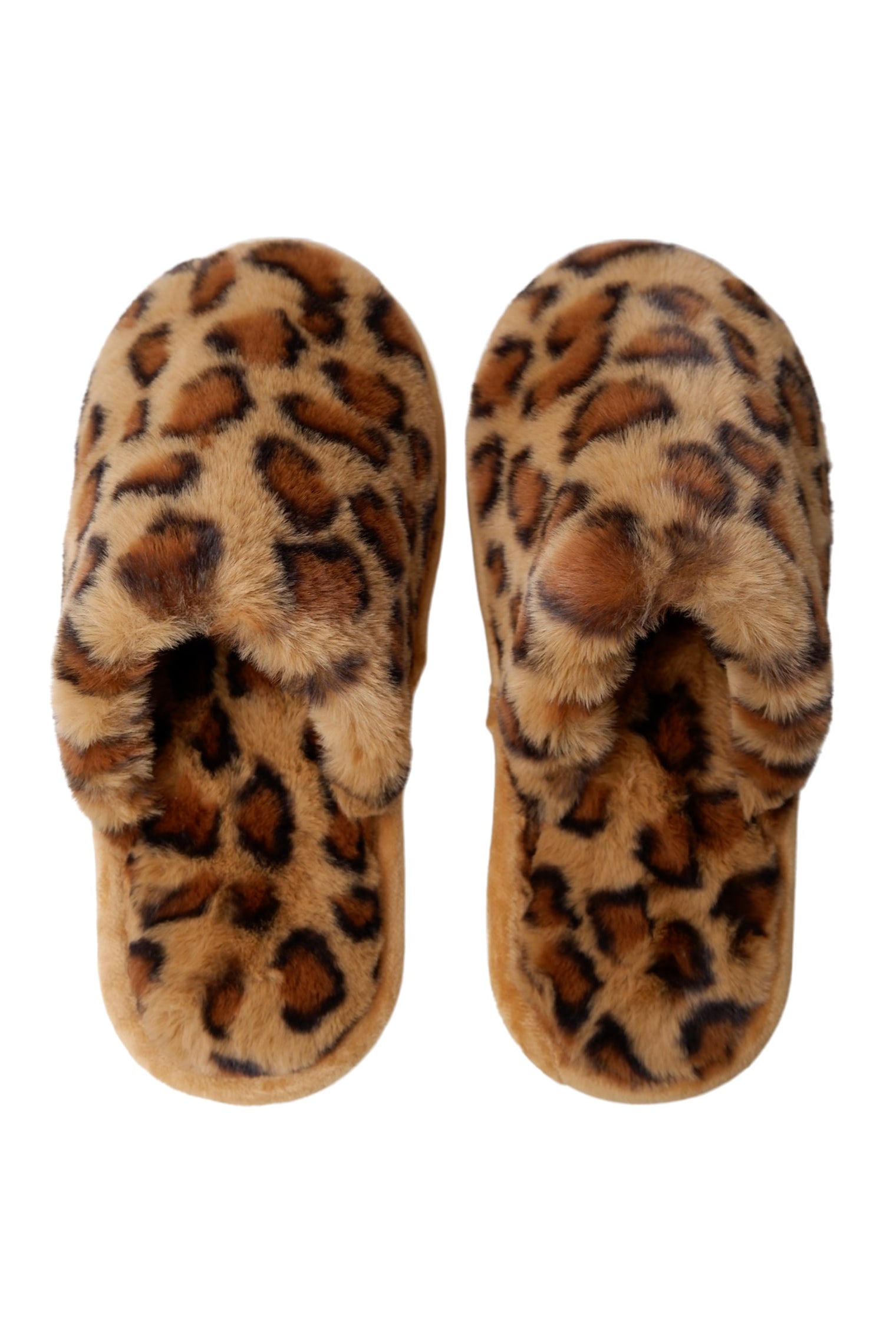 BCLEO slippers - Leo - Black Colour