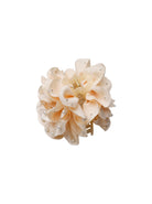 BCKIMMI mega flower hair claw - Champagne - Black Colour
